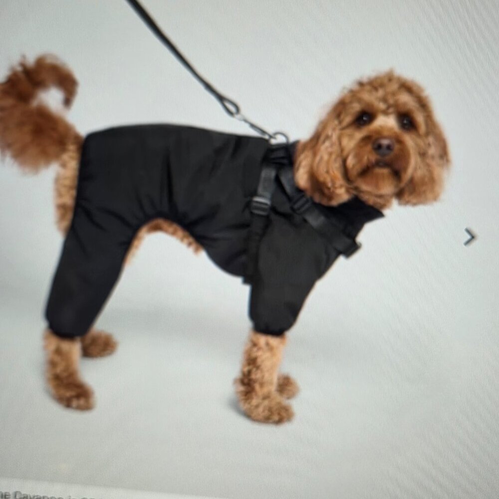 Harness Snow Suit size 14